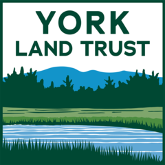 yorklandtrustadmin